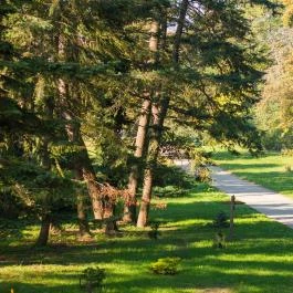 Szarvasi Arborétum Szarvas - Egyéb