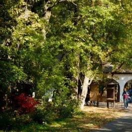 Szarvasi Arborétum Szarvas - Egyéb