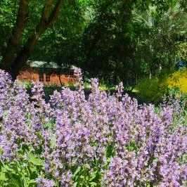 Szarvasi Arborétum Szarvas - Egyéb