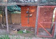 Körös Vendégház Szarvas