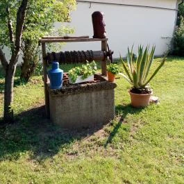 Körös Vendégház Szarvas - Medence/kert