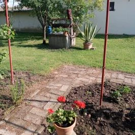 Körös Vendégház Szarvas - Medence/kert