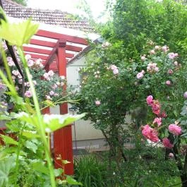 Lelkesház Szarvas - Medence/kert