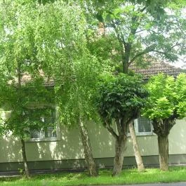 Lelkesház Szarvas - Külső kép