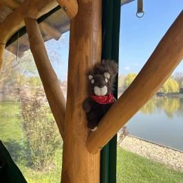 Virág Üdülőház Szarvas - 