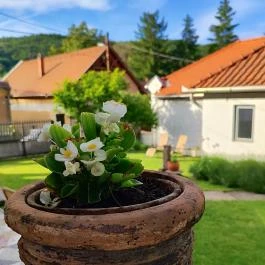 Kiskilenc Vendégház Szarvaskő - Medence/kert