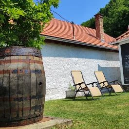 Kiskilenc Vendégház Szarvaskő - Medence/kert