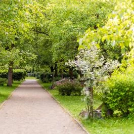 Öko-Park Panzió Szarvaskő - Medence/kert