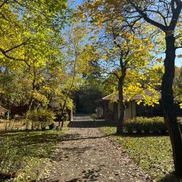Öko-Park Panzió Szarvaskő - Medence/kert