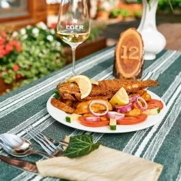 Öko-Park Panzió Szarvaskő - Vendéglátás