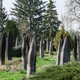 Szatmárcsekei csónakos fejfás református temető Szatmárcseke - Egyéb