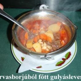 Stüszi Vadász Étterem Szeged - Egyéb