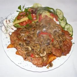 Szélkakas Panzió és Vendéglő Szeged - Egyéb