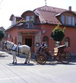 Szélkakas Panzió és Vendéglő