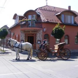 Szélkakas Panzió és Vendéglő Szeged - Egyéb