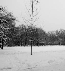 144. legjobb látnivaló: Erzsébet liget 