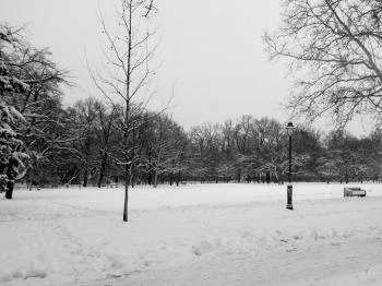 Erzsébet liget Szeged