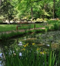 173. legjobb látnivaló: Szegedi Tudományegyetem Füvészkert 