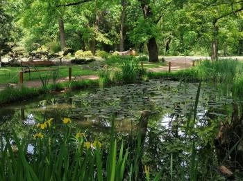 Szegedi Tudományegyetem Füvészkert Szeged