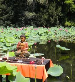 Szegedi Tudományegyetem Füvészkertjének Japánkertje