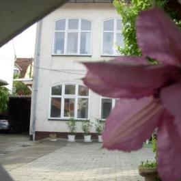 Garden 39 Vendégház Szeged - Egyéb