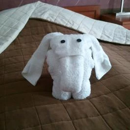 Aquarius Vendégház Szeged - Egyéb