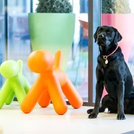 Art Hotel Szeged Szeged - Belső