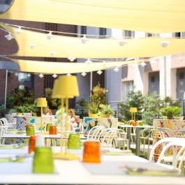 Art Hotel Szeged Szeged - Medence/kert