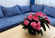 Mátyás Panzió Szeged