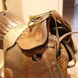 Nyárfás Apartmanház Szeged - Belső