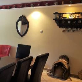 Nyárfás Apartmanház Szeged - Vendéglátás