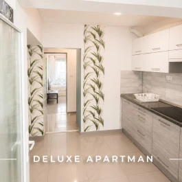 Tisza Gyöngye Apartmanok Szeged - Szobák