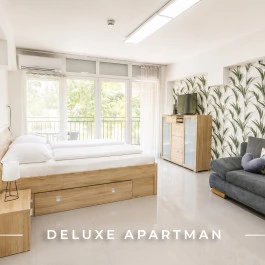 Tisza Gyöngye Apartmanok Szeged - Szobák