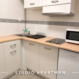 Tisza Gyöngye Apartmanok Szeged - Szobák
