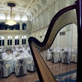 Tisza Hotel Szeged - Egyéb