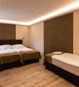 Vén Diófa De Lux Panzió