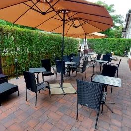 Vén Diófa De Lux Panzió Szeged - Medence/kert