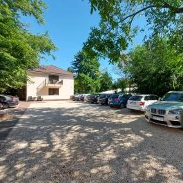 Vén Diófa De Lux Panzió Szeged - Medence/kert