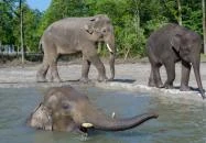 Szegedi Vadaspark Szeged