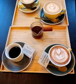 Szentjánosbogár Specialty Kávékert