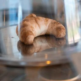 Szentjánosbogár Specialty Kávékert Székesfehérvár - Étel/ital