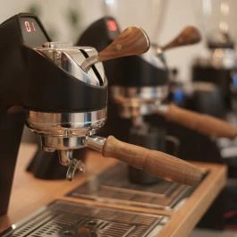 Szentjánosbogár Specialty Kávékert Székesfehérvár - Belső