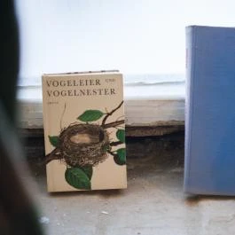 Szentjánosbogár Specialty Kávékert Székesfehérvár - Belső