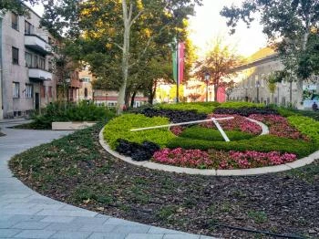 Virágóra Székesfehérvár