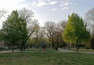 Zichy liget Székesfehérvár