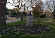 Zichy liget Székesfehérvár