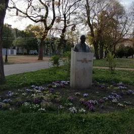 Zichy liget Székesfehérvár - Egyéb