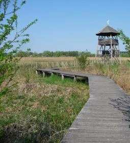 Sóstó Természetvédelmi Terület és Látogatóközpont