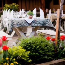 Szárcsa Hotel Székesfehérvár - Medence/kert