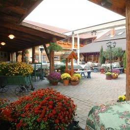 Szárcsa Hotel Székesfehérvár - Medence/kert